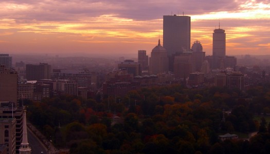 Istny Boston! A raczej wysypka bostońska w domu