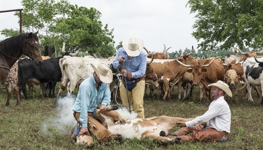 PODEJŚCIE – jedno słowo, które zmienia wszystko