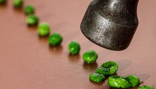 Rodzice, którymi gardzę