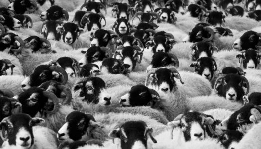 Ustawa antyaborcyjna – welcome back to epoka kamienia łupanego