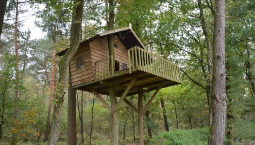 Domek na drzewie