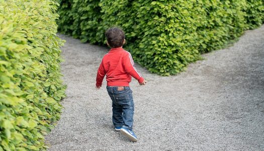 Czy 3 latek zasługuje na prawo „wyboru”?