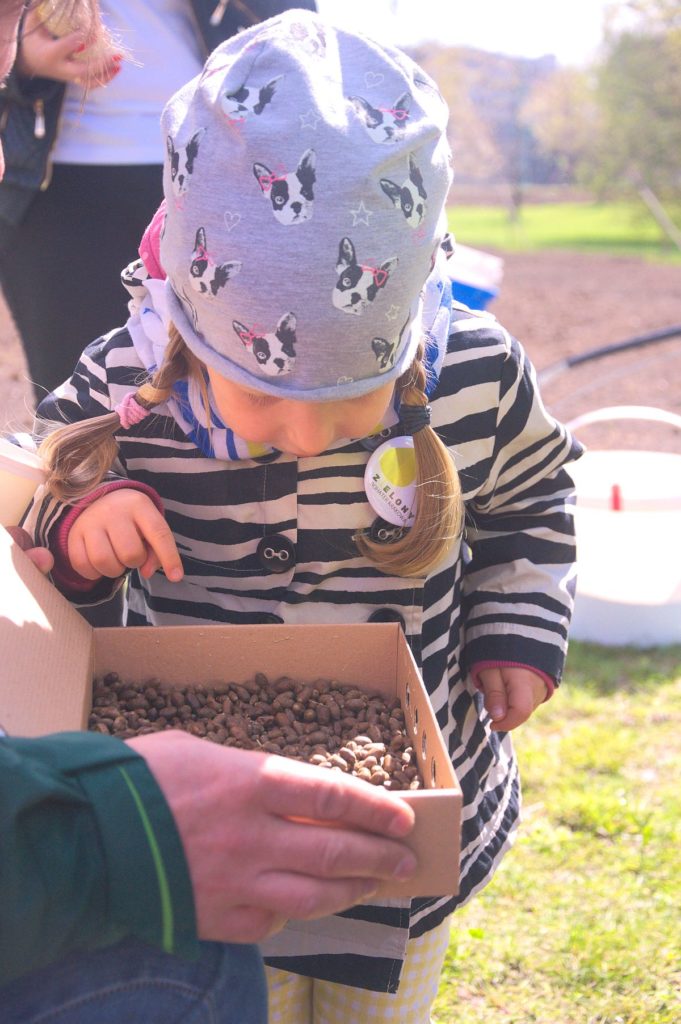 Park Zabłocie w Krakowie